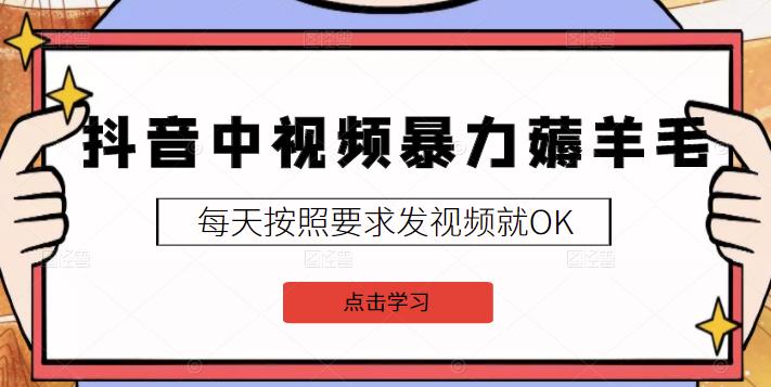 2022抖音中视频暴力薅羊毛白嫖项目：新号每天20块，老号几天几百块，可多号￼-网创星球