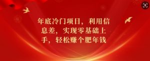 年底冷门项目，利用信息差，实现零基础上手，轻松赚个肥年钱【揭秘】-网创星球