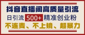 抖音直播间引流创业粉，无需连麦、不用上镜、超暴力，日引流500+高质量精准创业粉-网创星球