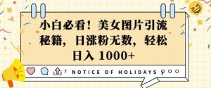 小白必看,美女图片引流秘籍,日涨粉无数,轻松日入几张【揭秘】-网创星球
