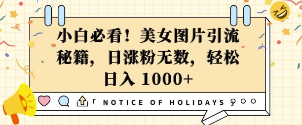 小白必看,美女图片引流秘籍,日涨粉无数,轻松日入几张【揭秘】-网创星球