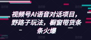 视频号AI语音对话项目，野路子玩法，橱窗带货条条火爆-网创星球