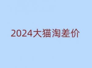 2024版大猫淘差价课程,新手也能学的无货源电商课程-网创星球