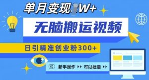 无脑搬运视频号可批量复制,新手即可操作,日引精准创业粉300+,月变现过W 【揭秘】-网创星球
