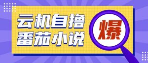 首发云手机自撸小说玩法，10块钱成本可撸200+收益操作简单【揭秘】-网创星球