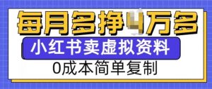 小红书虚拟资料项目，0成本简单复制，每个月多挣1W【揭秘】-网创星球