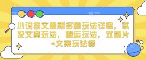 小说推文最新多种玩法详解，实况文案玩法，搬运玩法，双图片+文案玩法等-网创星球