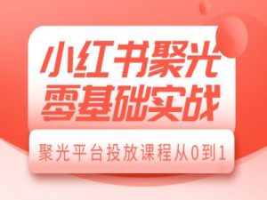 小红书聚光零基础实战,聚光平台投放课程从0到1-网创星球