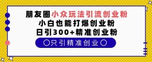 朋友圈小众玩法引流创业粉,小白也能打爆创业粉,日引300+精准创业粉【揭秘】-网创星球