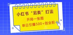 小红书“另类”打法,开局一张图,单日引爆500+精准创业粉【揭秘】-网创星球