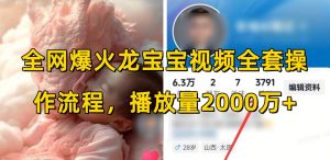 全网爆火龙宝宝视频全套操作流程,播放量2000万+-网创星球