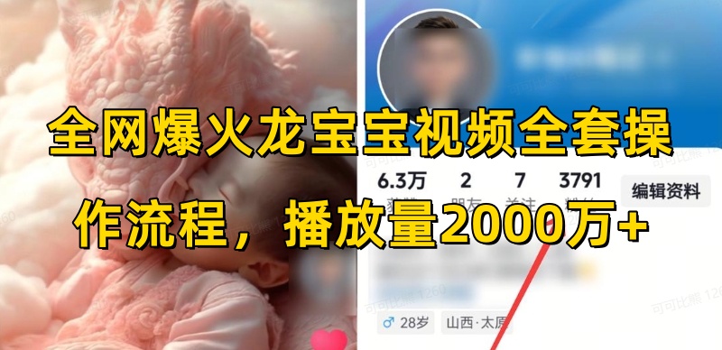 全网爆火龙宝宝视频全套操作流程,播放量2000万+-网创星球