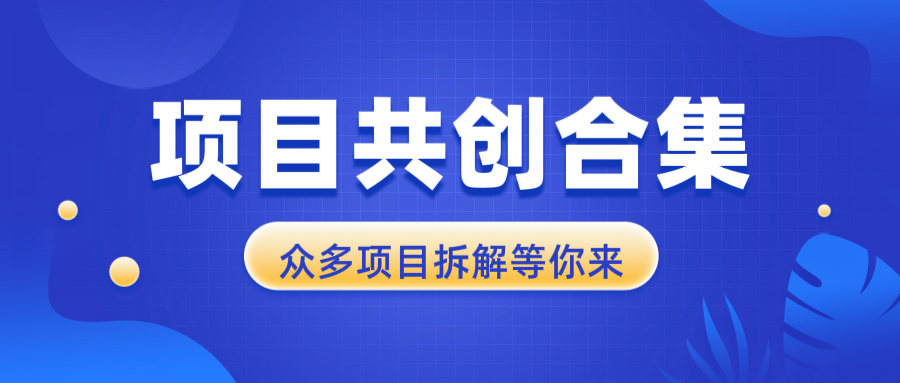项目共创合集，从0-1全过程拆解，让你迅速找到适合自已的项目-网创星球