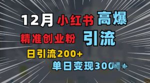 小红书一张图片“引爆”创业粉,单日+200+精准创业粉 可筛选付费意识创业粉【揭秘】-网创星球