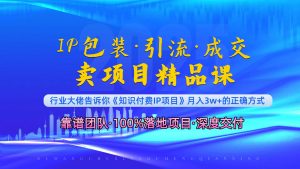 《IP包装·暴力引流·闪电成交卖项目精品课》如何在众多导师中脱颖而出?-网创星球
