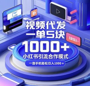 视频代发，一单5块，小红书引流合作模式，一部手机轻松日入多张【揭秘】-网创星球
