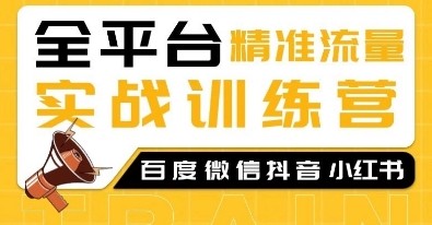 全平台精准流量实战训练营,百度微信抖音小红书SEO引流教程-网创星球