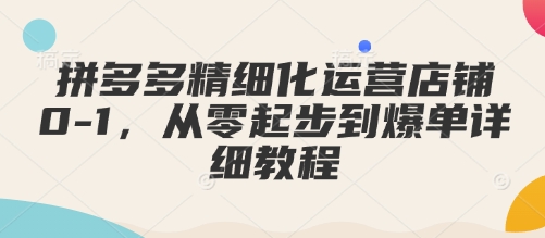 拼多多精细化运营店铺0-1,从零起步到爆单详细教程-网创星球