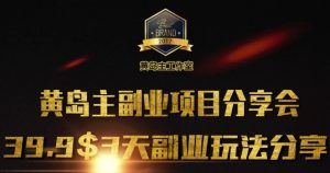 黄岛主副业分享会1期:3天3个副业玩法,速度上车-网创星球
