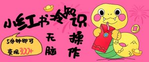 小红书冷知识账号,无脑复制粘贴,5分钟即可变现3张-网创星球