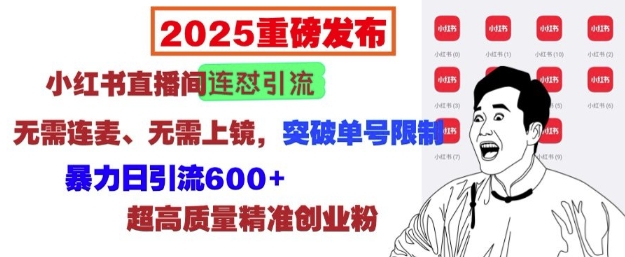 2025重磅发布：小红书直播间连怼引流，无需连麦、无需上镜，突破单号限制，暴力日引流600+-网创星球