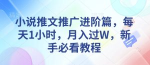 小说推文推广进阶篇,每天1小时,月入过W,新手必看教程-网创星球
