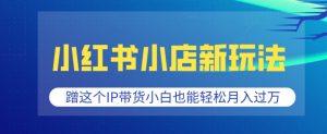 小红书小店新玩法,蹭这个IP带货,小白也能轻松月入过W【揭秘】-网创星球