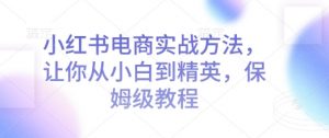 小红书电商实战方法，让你从小白到精英，保姆级教程-网创星球