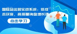 国际站运营实战系统:低成本获客,高质量询盘增长课-网创星球
