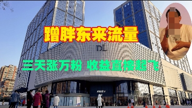 蹭胖东来流量,三天涨万粉,收益直接起飞-网创星球