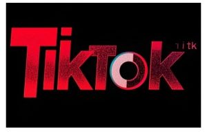 TikTok ads投流秘籍,涵盖tiktok整体投放思路,教你搭建测试计划-网创星球
