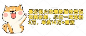 最近很火的爆款猫咪做饭视频拆解，小白一周涨粉2万，单条10万+播放(附保姆级教程)-网创星球