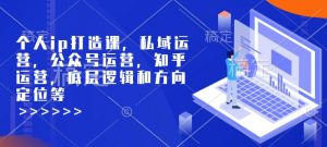 个人ip打造课,私域运营,公众号运营,知乎运营,底层逻辑和方向定位等-网创星球