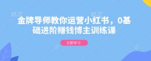 金牌导师教你运营小红书，0基础进阶赚钱博主训练课-网创星球