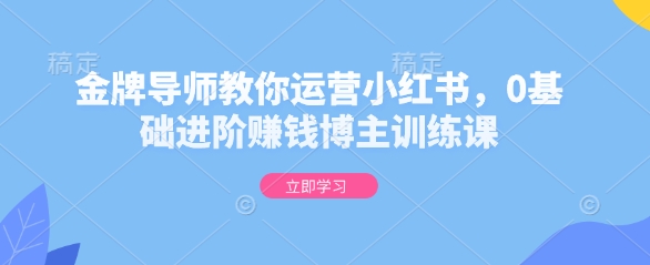 金牌导师教你运营小红书,0基础进阶赚钱博主训练课-网创星球