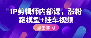 IP剪辑师内部课,涨粉跑模型+挂车视频-网创星球
