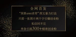 小红书神奇图片引流法,只需一张图,就能单条笔记凭借此方法,轻松引流 300 + 精准创业粉-网创星球