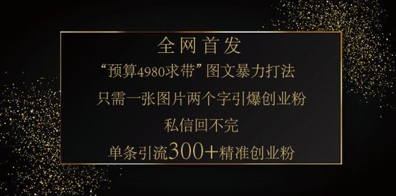 小红书神奇图片引流法,只需一张图,就能单条笔记凭借此方法,轻松引流 300 + 精准创业粉-网创星球