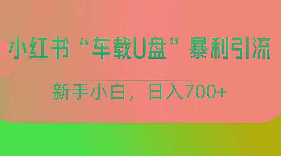 小红书“车载U盘”项目,暴利引流,新手小白轻松日入700+-网创星球