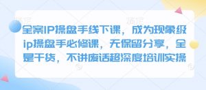 全案IP操盘手线下课,成为现象级ip操盘手必修课,无保留分享,全是干货,不讲废话超深度培训实操-网创星球