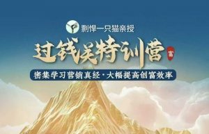剽悍一只猫-过钱关特训营,学习营销真经 大幅度提高创富效率-网创星球