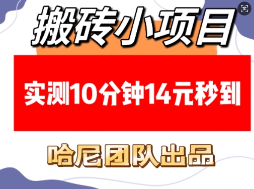 搬砖小项目,实测10分钟14元秒到,每天稳定几张(赠送必看稳定)-网创星球