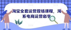淘宝全套运营现场课程,淘系电商运营必学-网创星球