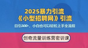 2025最新暴力引流方法，招聘平台一天引流300+，日变现多张，专业人士力荐-网创星球