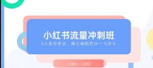 小红书流量冲刺班2025，最懂小红书的女人，快速教你2025年入局小红书-网创星球
