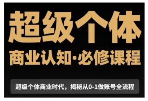 超级个体商业认知觉醒视频课,商业认知·必修课程揭秘从0-1账号全流程-网创星球