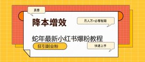 蛇年最新小红书爆粉教程,狂引副业粉,月入万+必看-网创星球