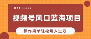 视频号风口蓝海项目，中老年人的流量密码，操作简单轻松月入过万-网创星球