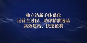 独立站新手体系化 运营全过程,助你精准选品、高效建站、快速盈利-网创星球