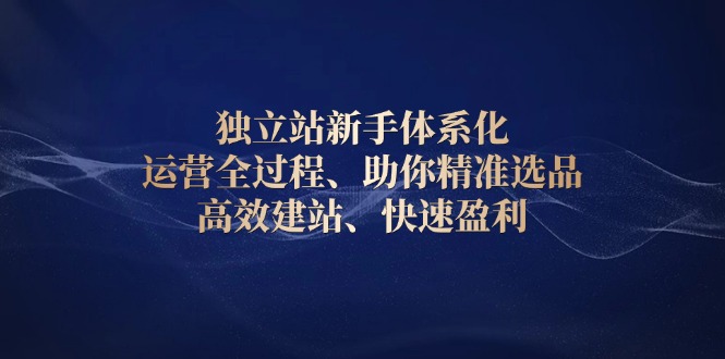 独立站新手体系化 运营全过程,助你精准选品、高效建站、快速盈利-网创星球
